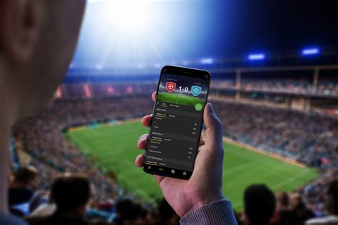 100 Sports Betting Facts and Statistics You Must Know.